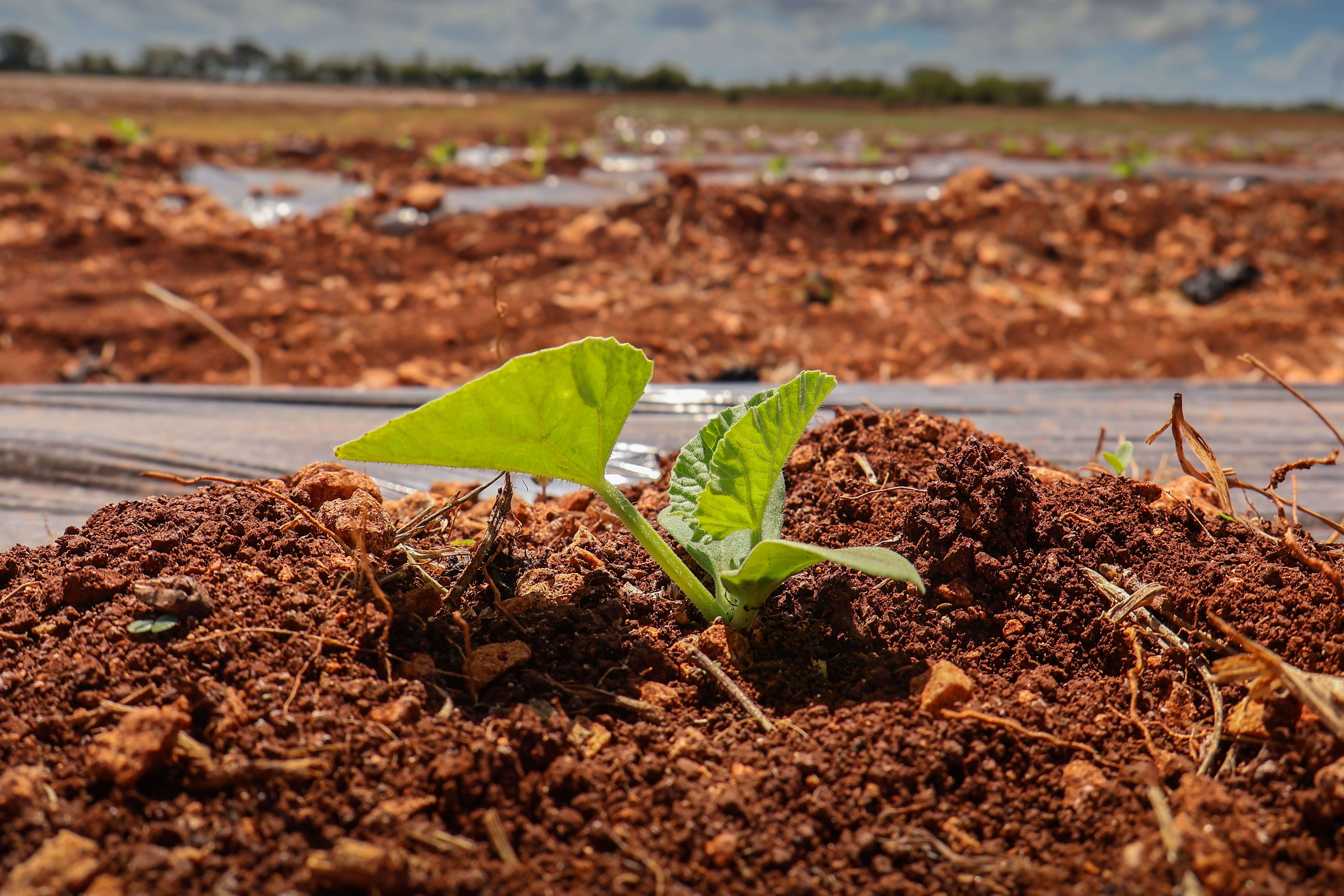 Nuestro Proceso de Producción